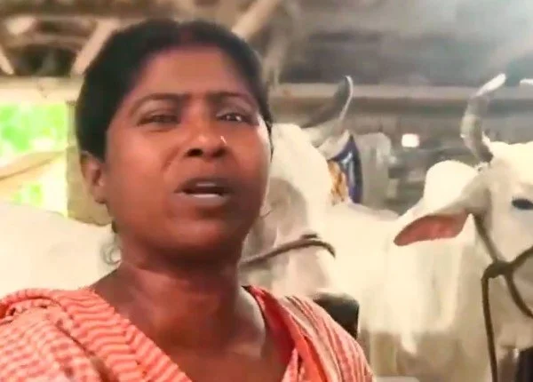 कुर्बानी के लिए बकरीद पर मवेशी बेचने वाले हिंदू व्यापारी बंगाल की भाजपा सरकार से नाखुश; बोले-हमें जहर दे दो