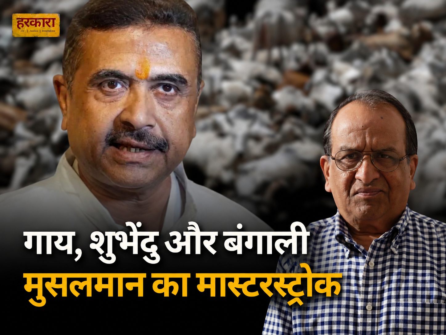 श्रवण गर्ग | ये गजब का त्रिकोण जैसा बना है. सरकार, हिंदू और मुसलमान और बीच में गाय खड़ी हुई है.