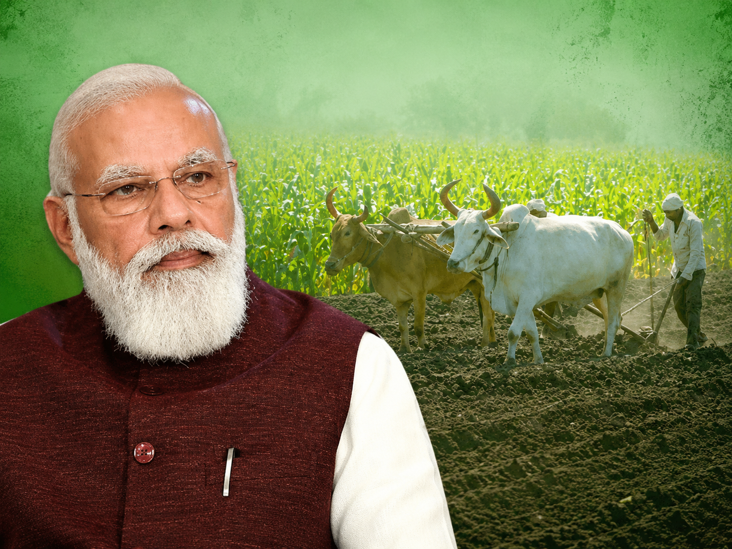 4 साल बाद भी, MSP समिति के पास दिखाने के लिए कोई रिपोर्ट नहीं, लेकिन ₹54 लाख खर्च हुए