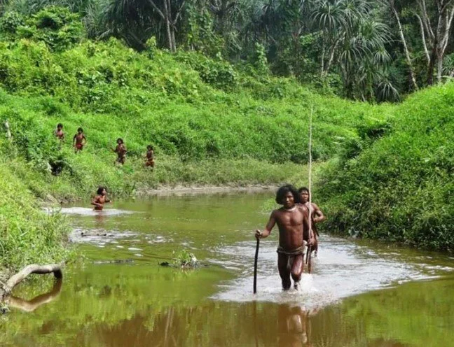 अंडमान-निकोबार के मुख्य सचिव ने कहा था कि शोम्पेन जनजाति को ‘आधुनिक जीवनशैली अपनानी होगी’: जनजातीय परिषद का आरोप