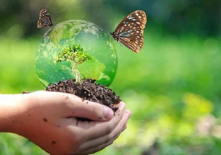 पर्यावरण डेटा को रियल-टाइम करने की प्राथमिकता का अभाव, वर्ना पैसा मांगते वक्त भारत का पक्ष मजबूत होता