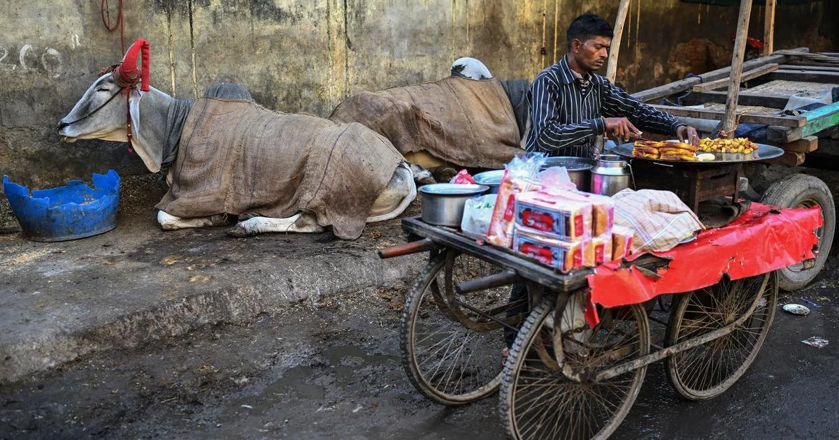 भारत में अत्यधिक गरीबी घटकर 2.6% हुई, लेकिन शीर्ष 10% की मध्य आय निचले 10% से 13 गुना अधिक: विश्व बैंक