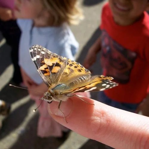 A person holding a butterfly on their finger with children in the background
