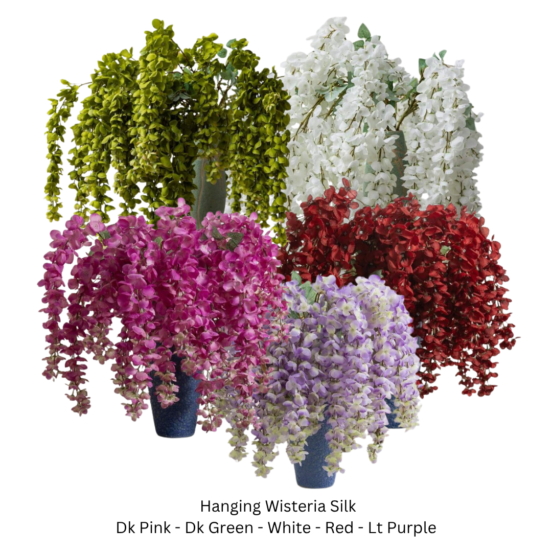 Wisteria Hanging.png