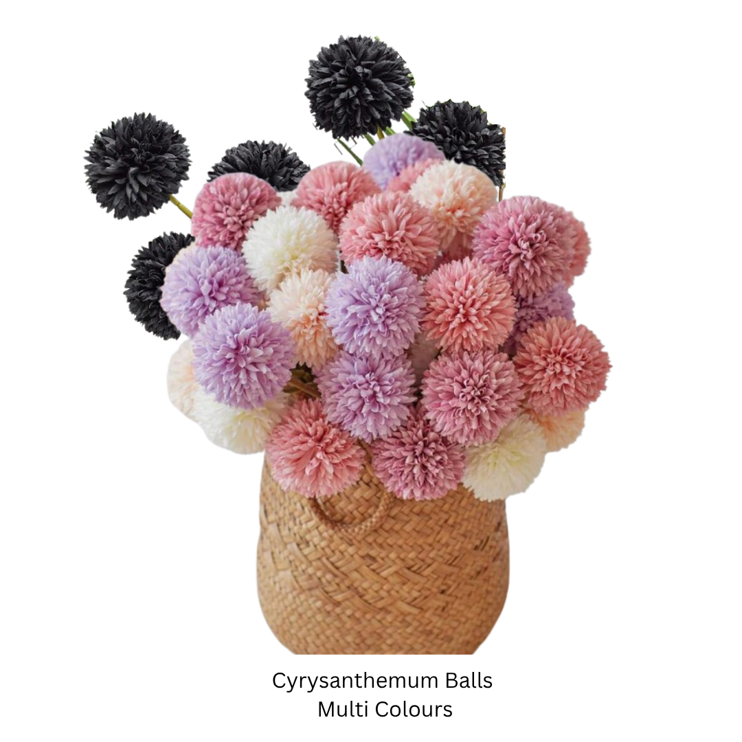 Crysanthemum Balls Mixed.png