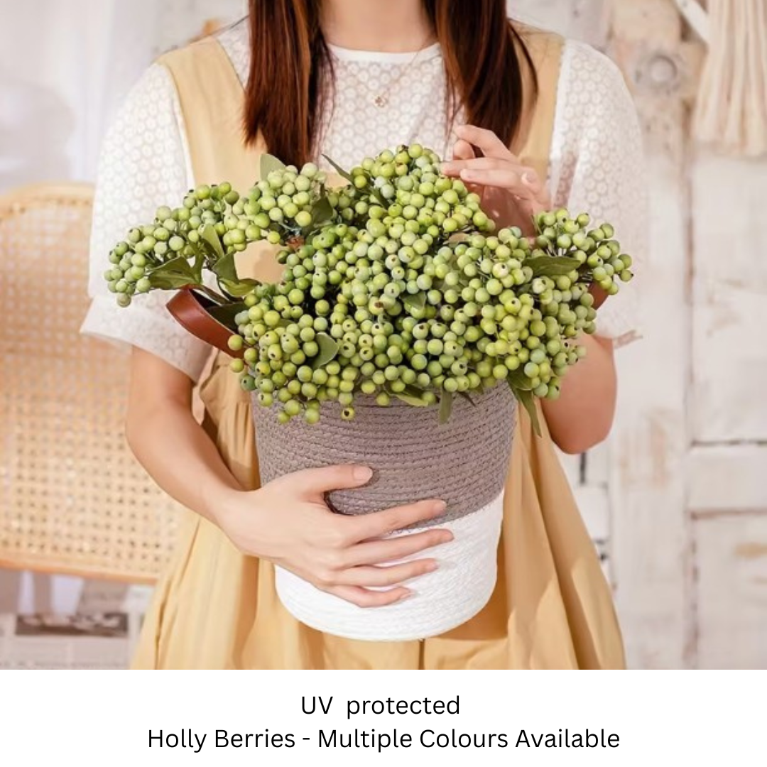 Holly Berries.png