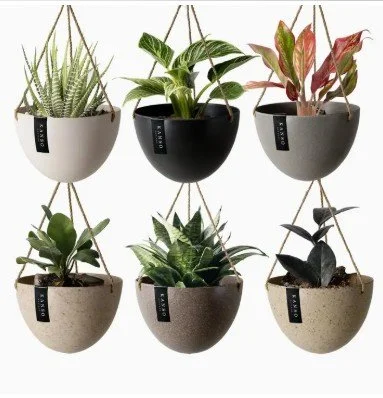 Faire - Hanging Planter Pot 8 inch Colours .jpg