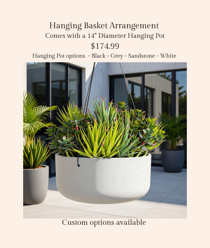 Hanging Planter Mason R.png
