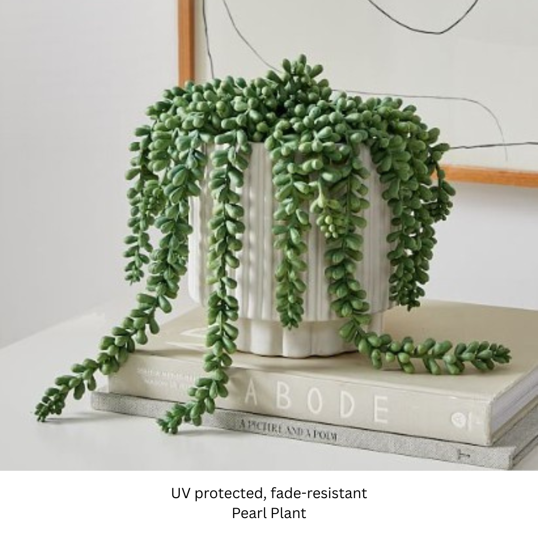 Pearl Plant.png