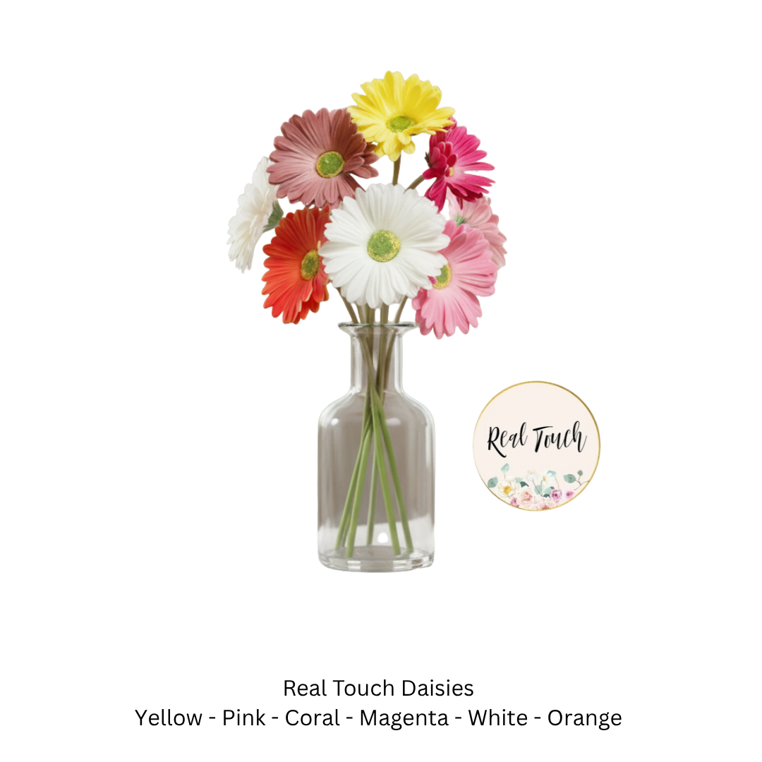 Daisy Real Touch.png