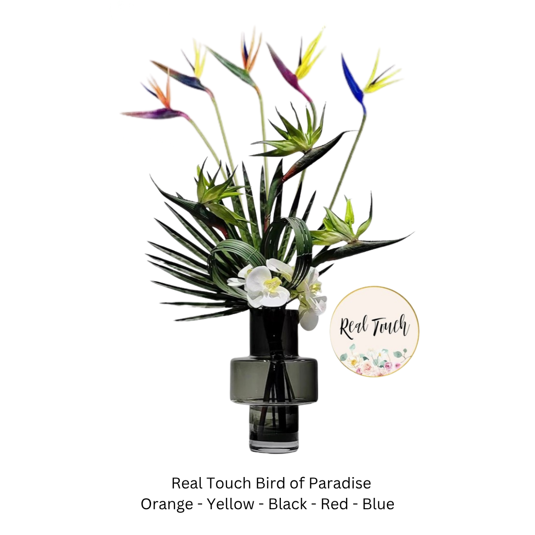 Bird of Paradise.png