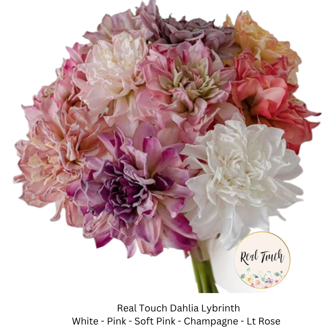 Dahlia Lybrinth Real Touch.png