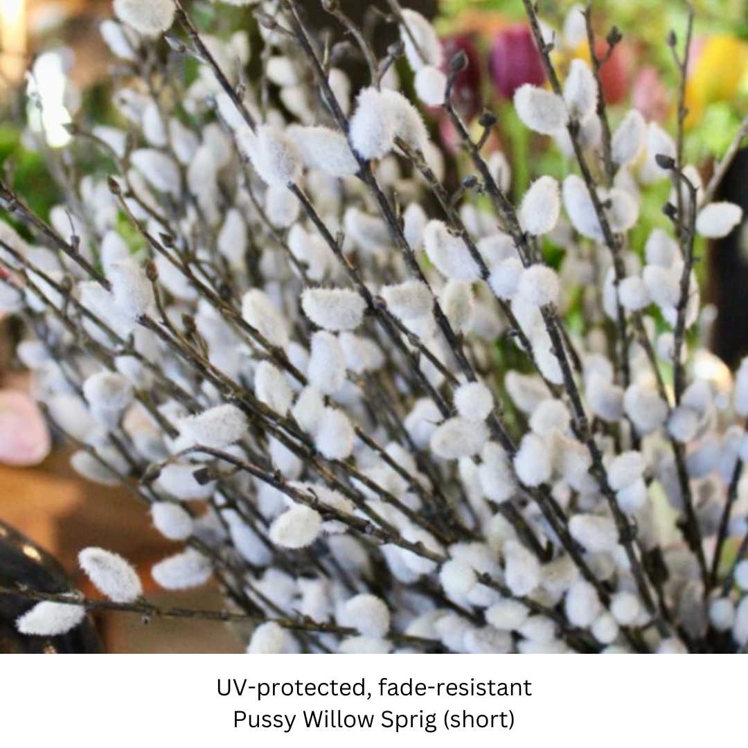 Pussy Willow Sprig.png