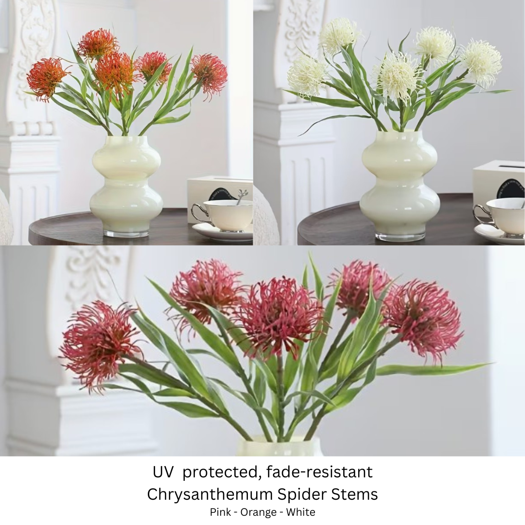 Chrysanthemum Spider Stems.png