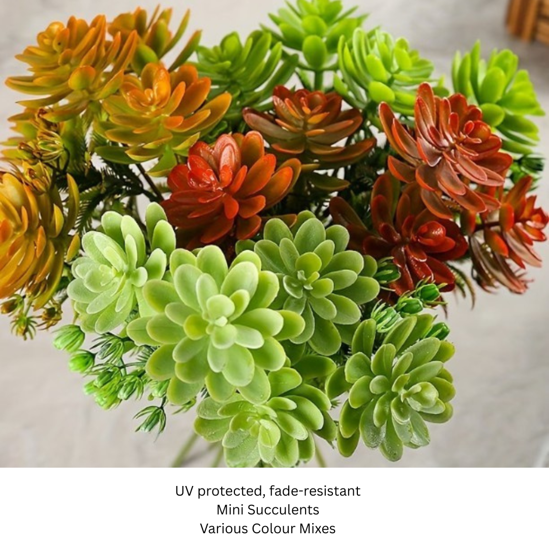 Mini Succulents.png