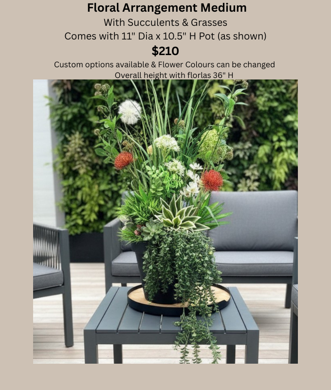 Med Planter Succulents and Grasses.png