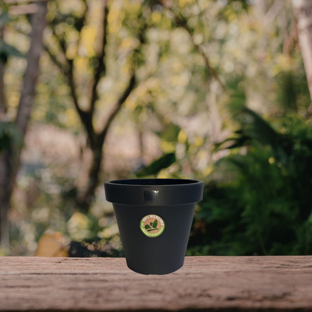Pots and Vases Resin Planter Collections