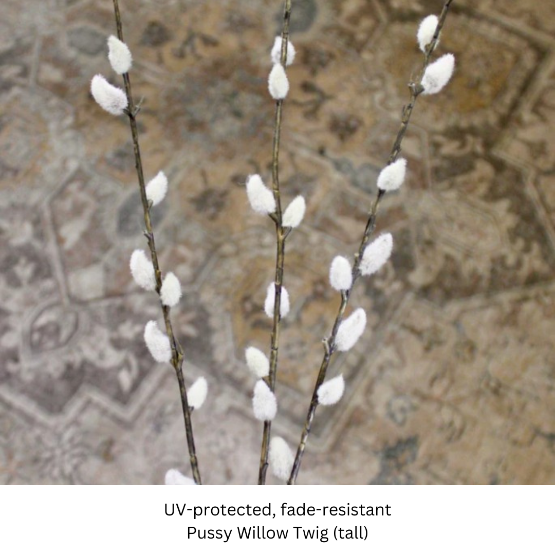 Pussy Willow Twig.png