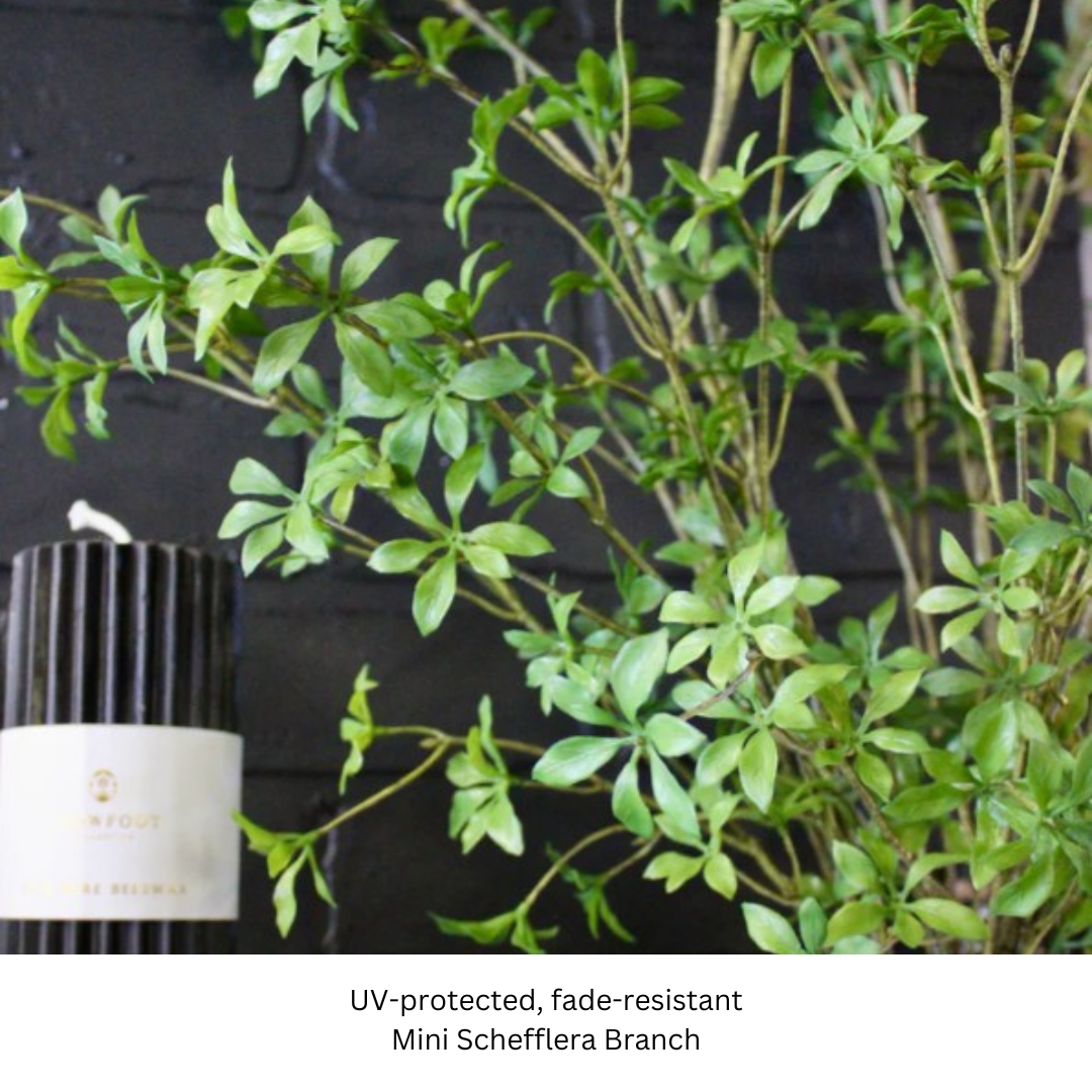 Mini Schefflera Branch .png