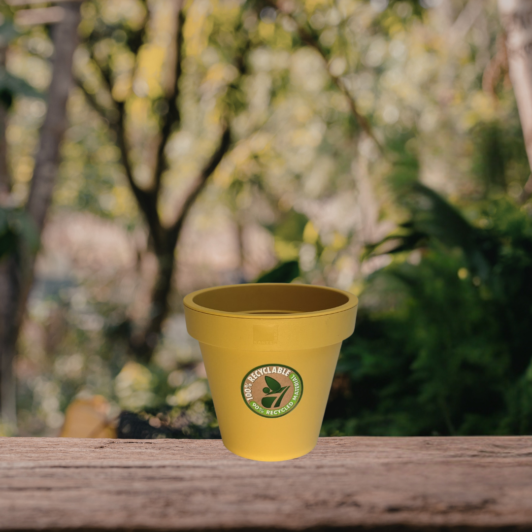 Mustard Resin Planter SM.png