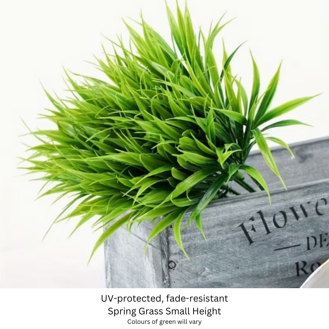 Spring Grass.png