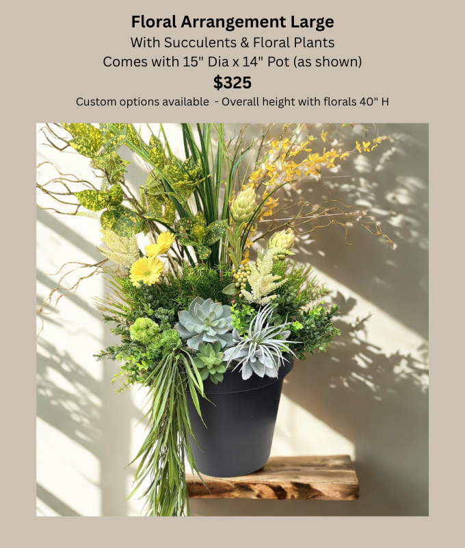 Large Planter with Succulents.png