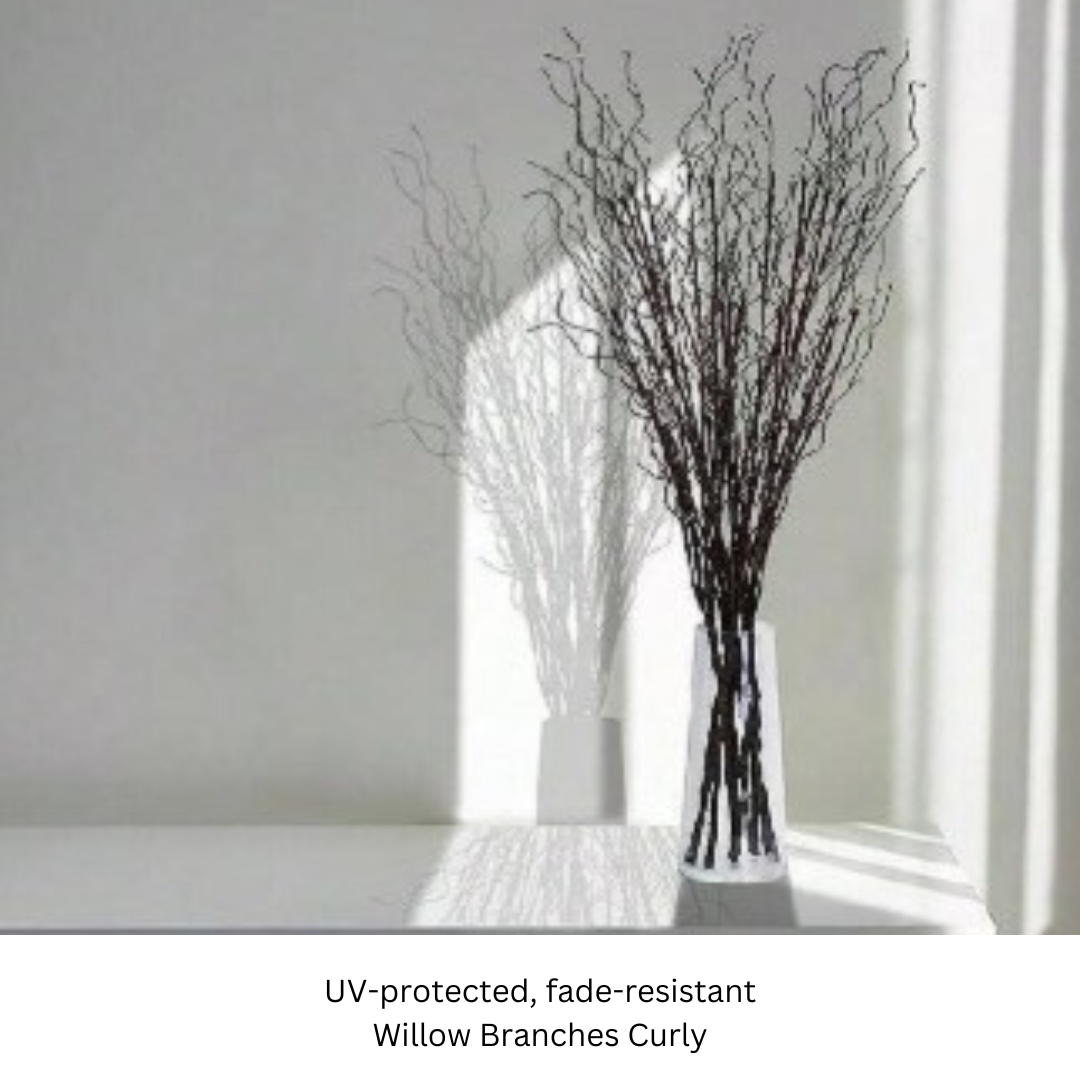 Willow Branches.png