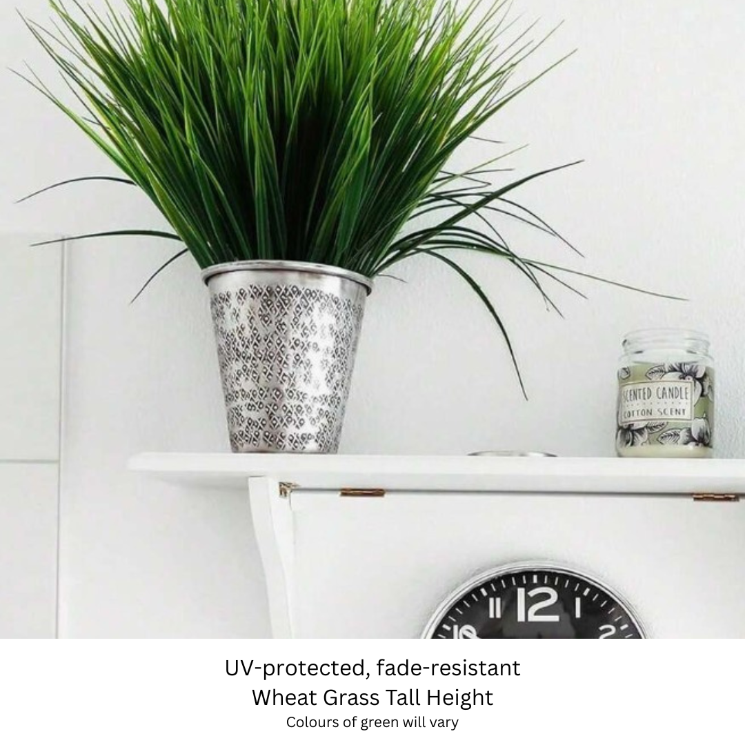 Wheat Grass Tall.png