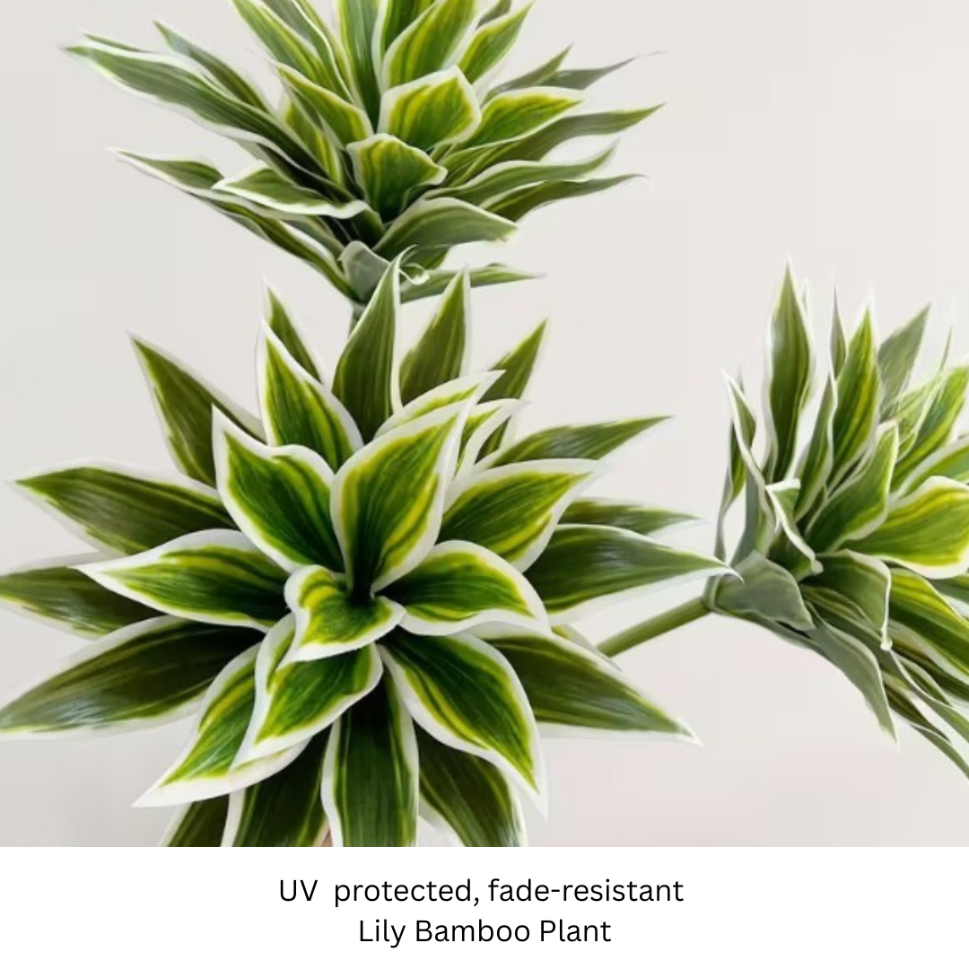 Lily Bamboo Plant.png