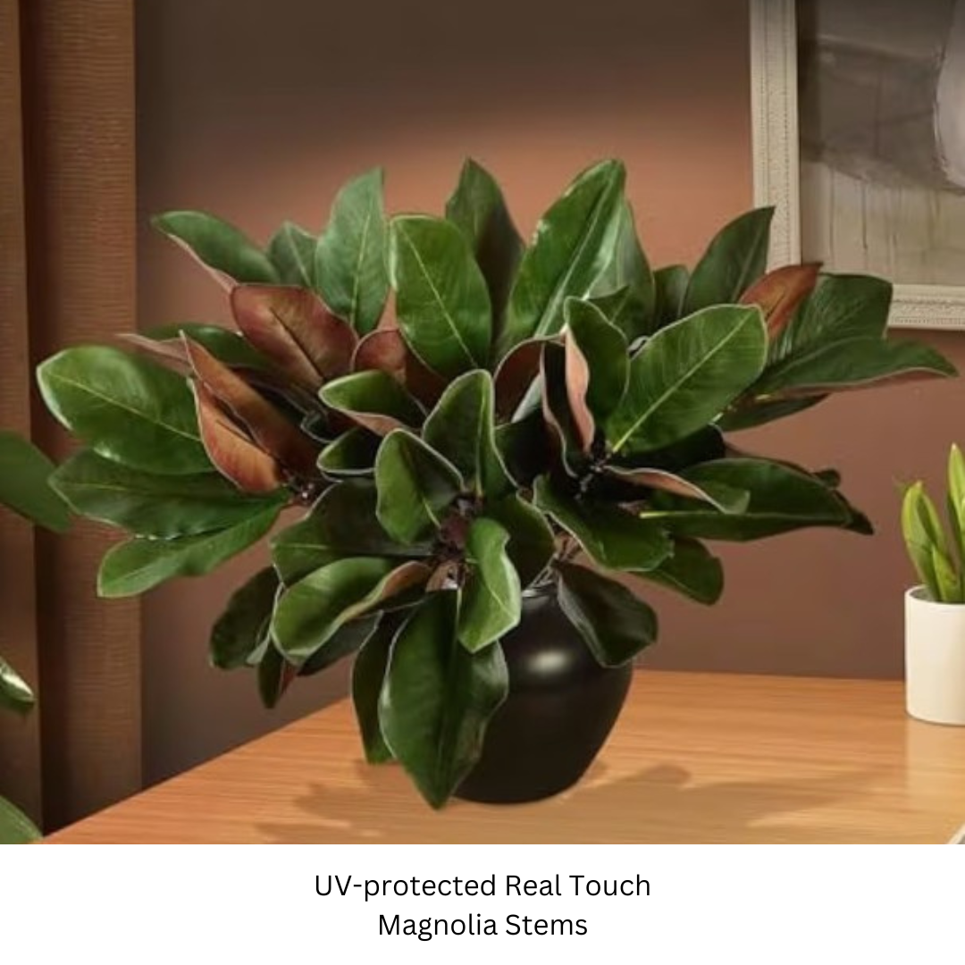 Magnolia Leaves.png