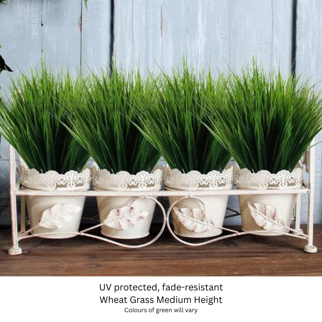 Grass Medium Height Wheat.png