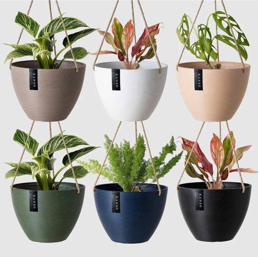 Faire - Hanging Planter Pot 10 Multi Colours Drainage Hole.jpg