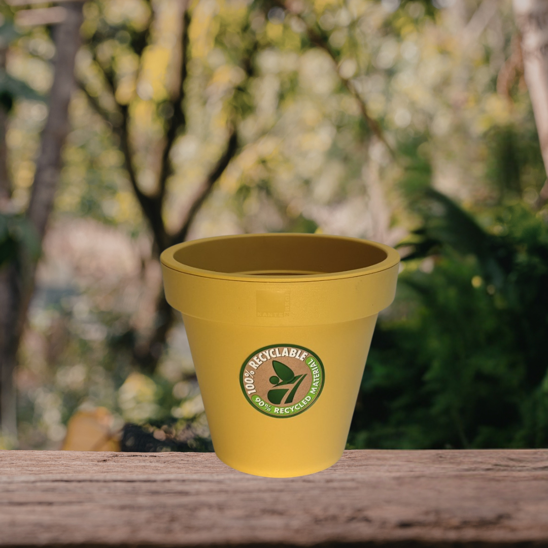 Mustard Resin Planter MED.png