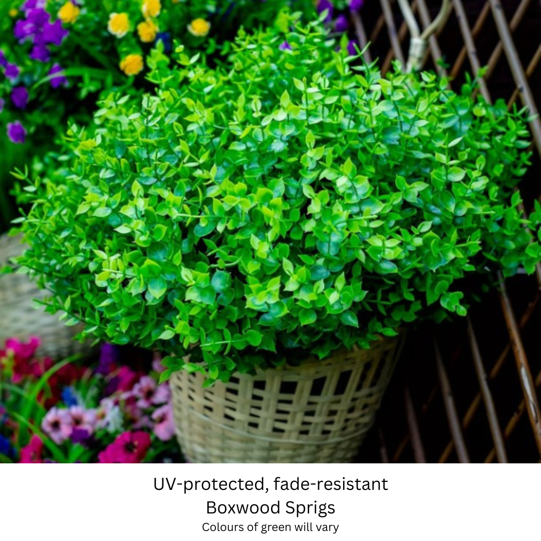 Boxwood Sprigs.png