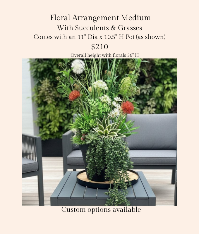 Med Planter Succulents and Grasses R.png