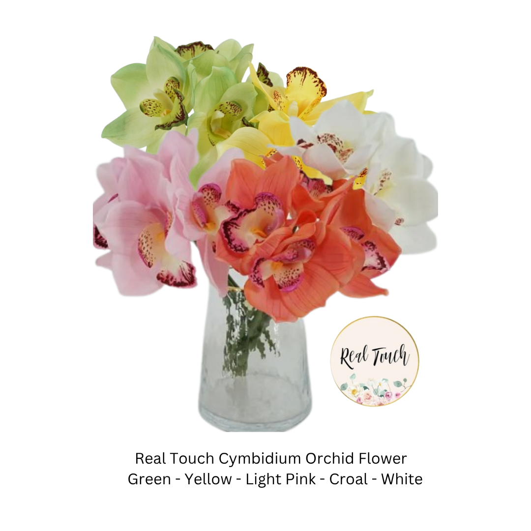 Cymbidium Orchid.png