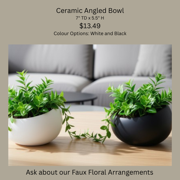 Ceramic Angled Bowls .png