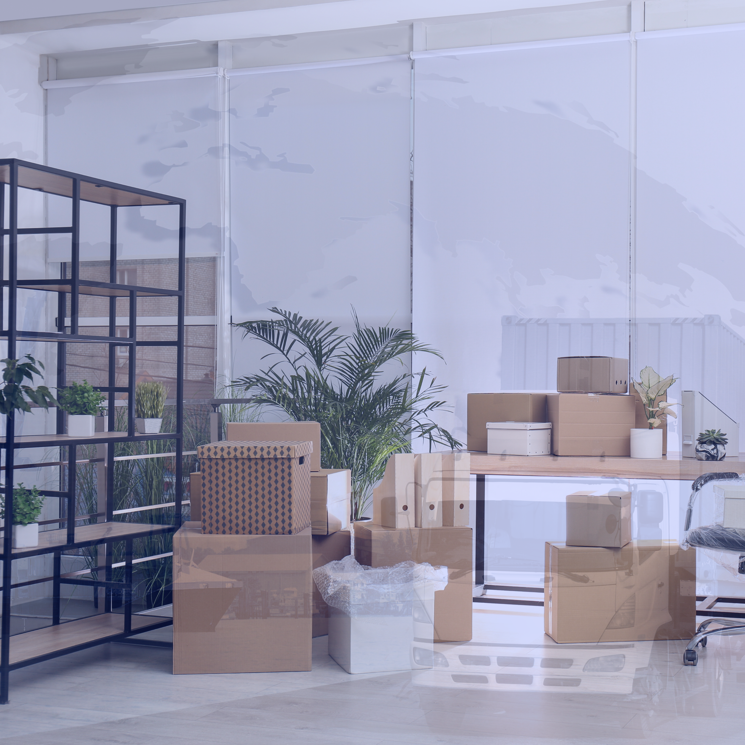 Office with moving boxes and indoor plants, modern shelving, and a chair