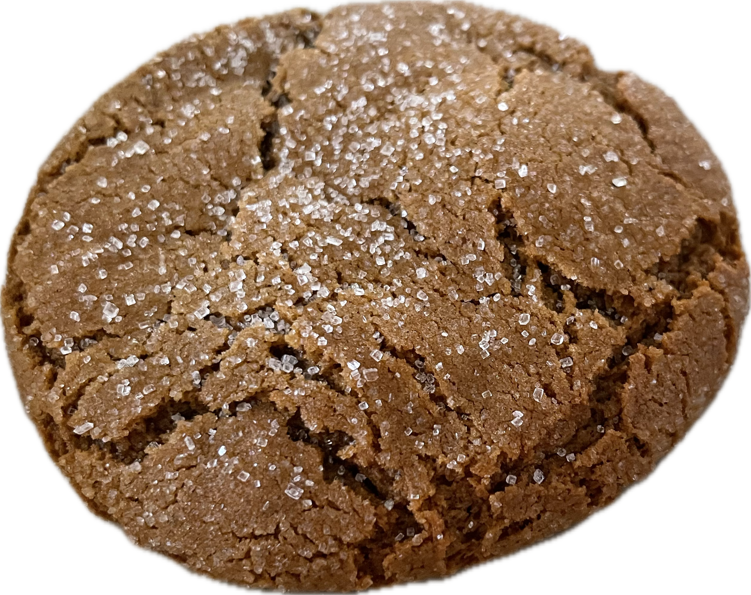 gingersnap.png