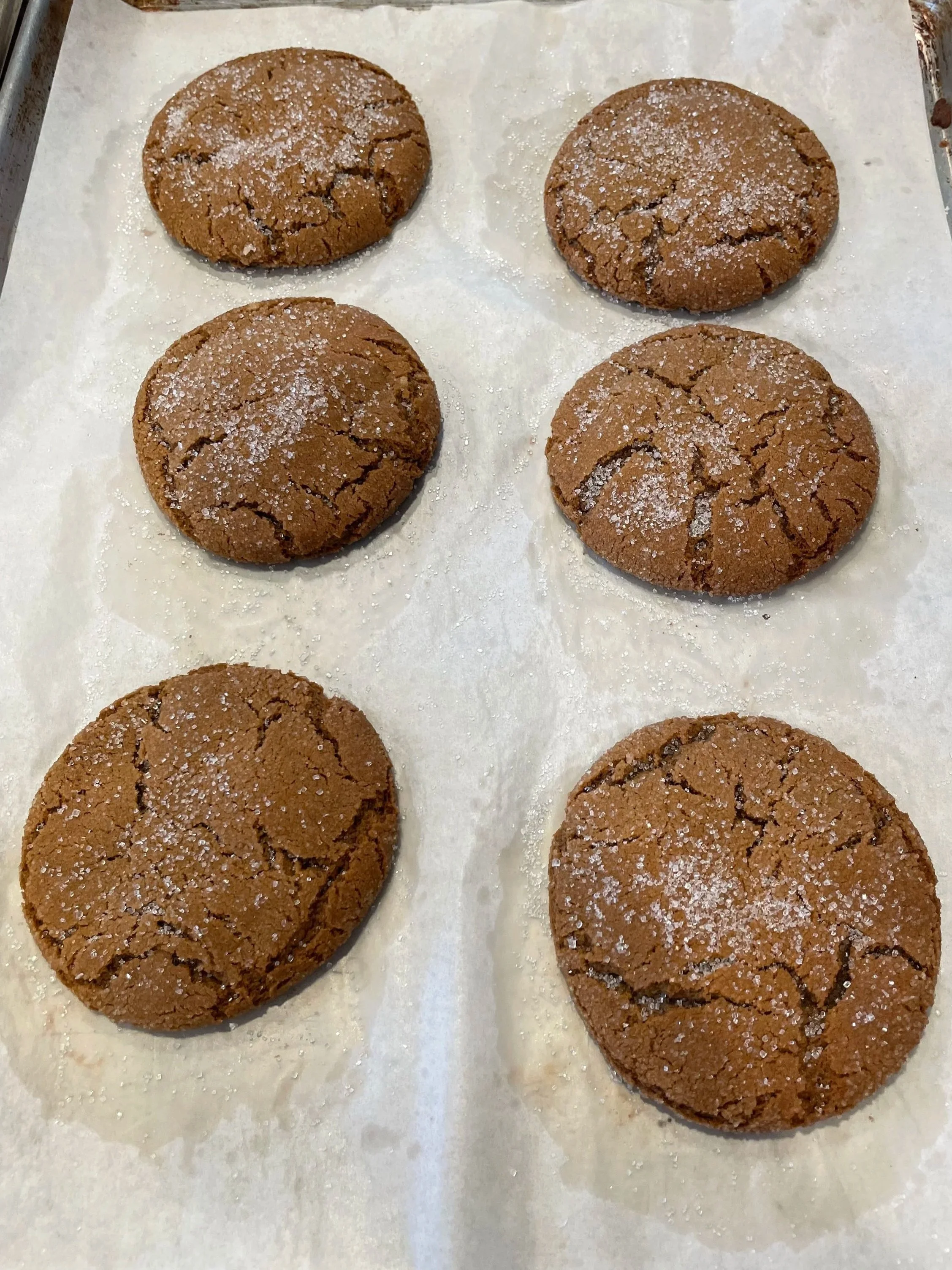 Martha's Molasses Muse Cookie