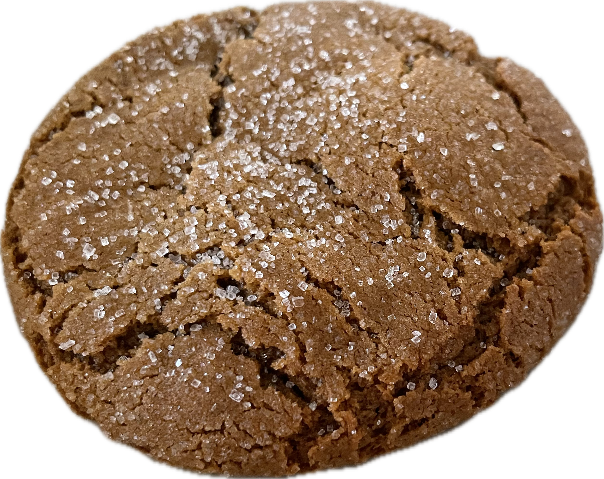 gingersnap.png