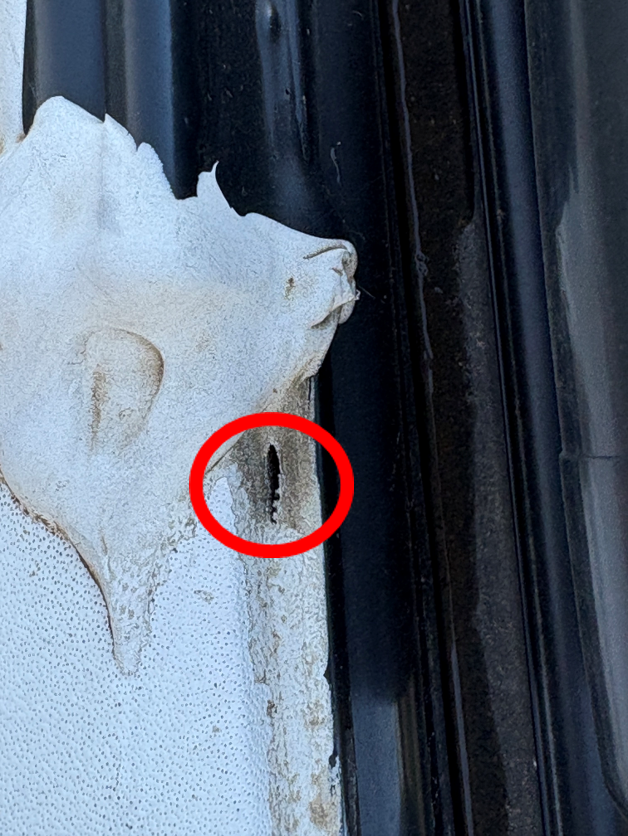 Sealant failure on edge of RV roof.