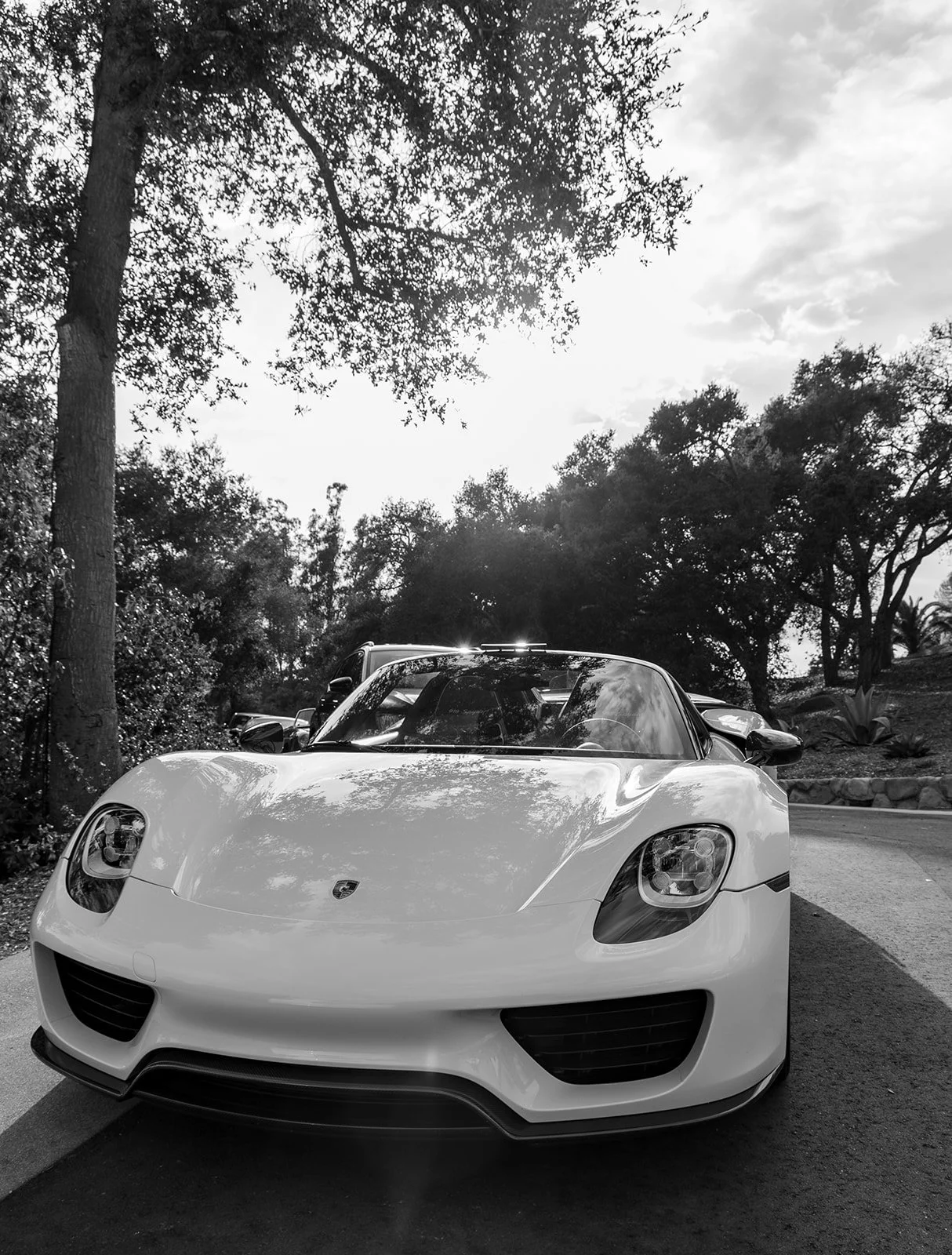 A sleek sports car parked on a street with trees and a cloudy sky in the background, captured in black and white.