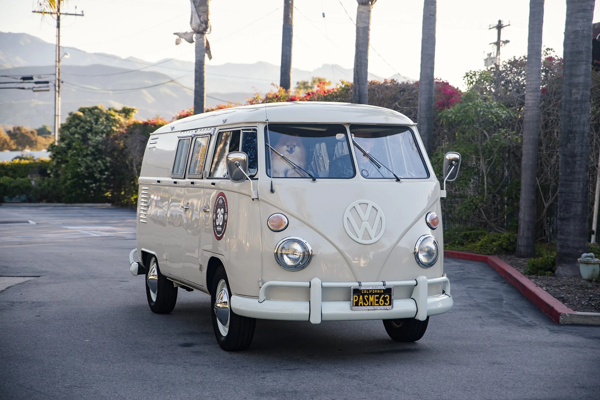 White vintage Volkswagen camper van parked on a street, with a dog visible through the front windshield and a California license plate reading PASME63.