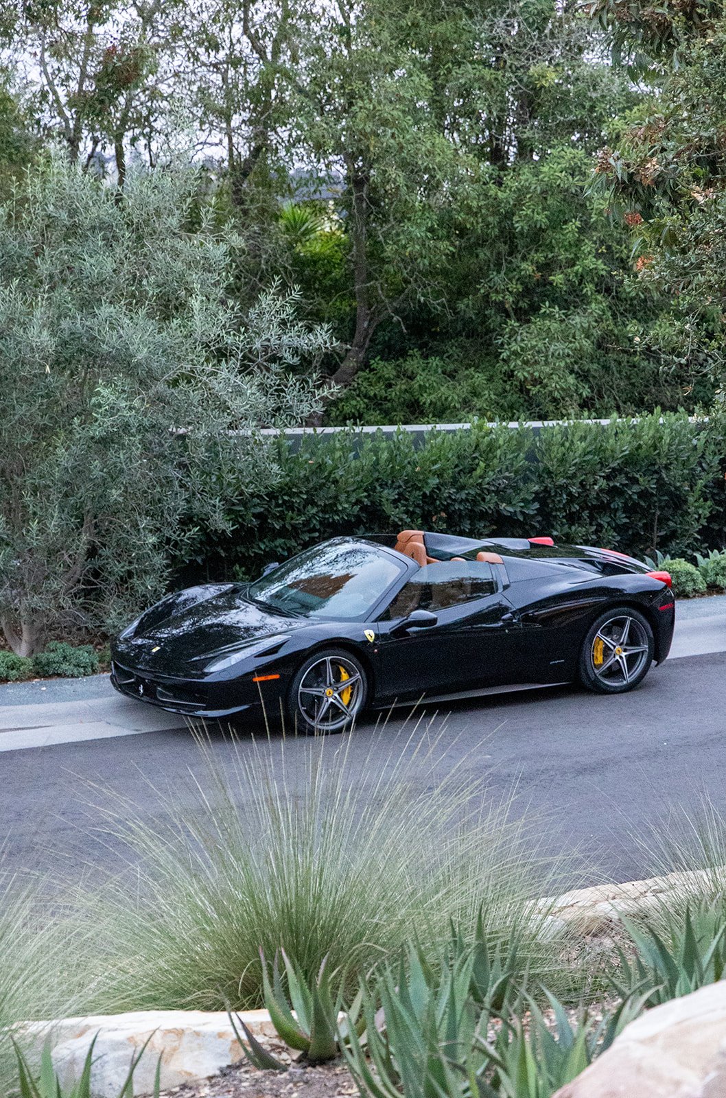 Black Ferrari convertible parked on a street with green bushes and trees in the background.