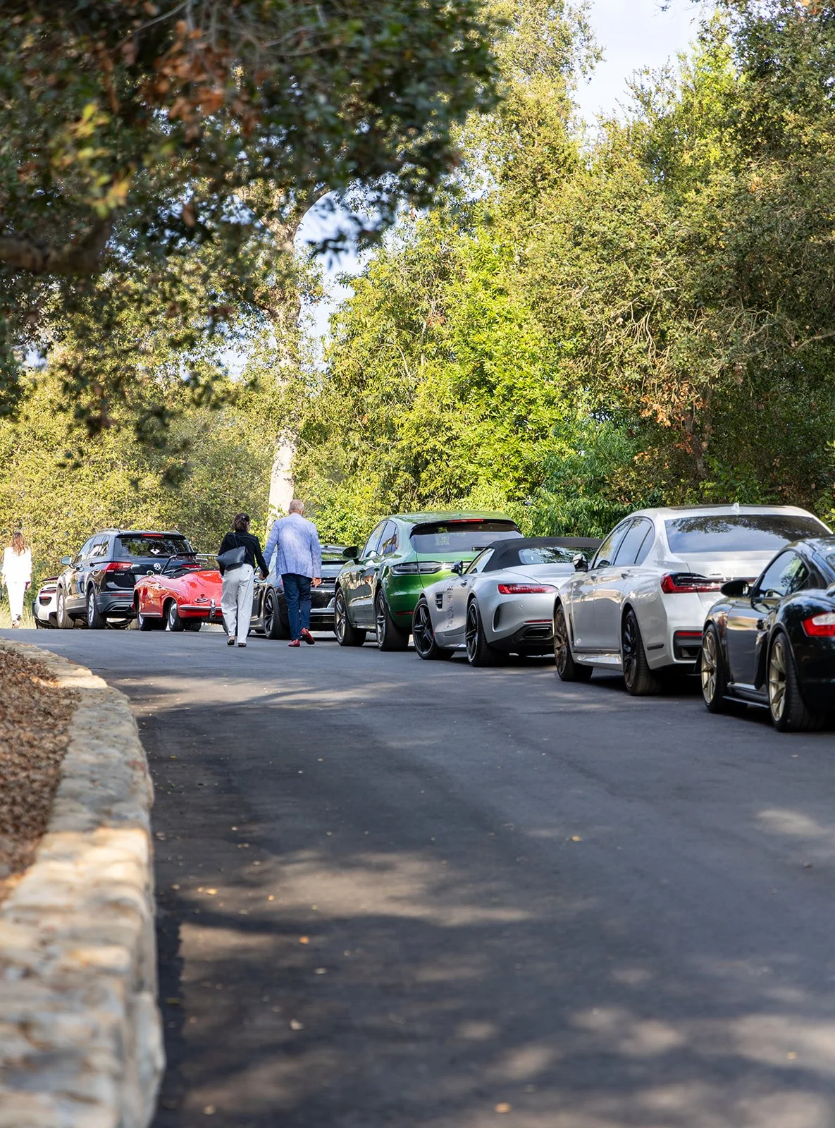 Line of parked cars along a tree-lined street with people walking in the background.