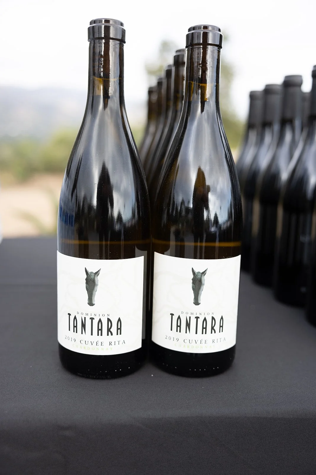 Two bottles of Dominion Tantara 2019 Cuvée Rita Chardonnay wine on a black table with a blurred background.
