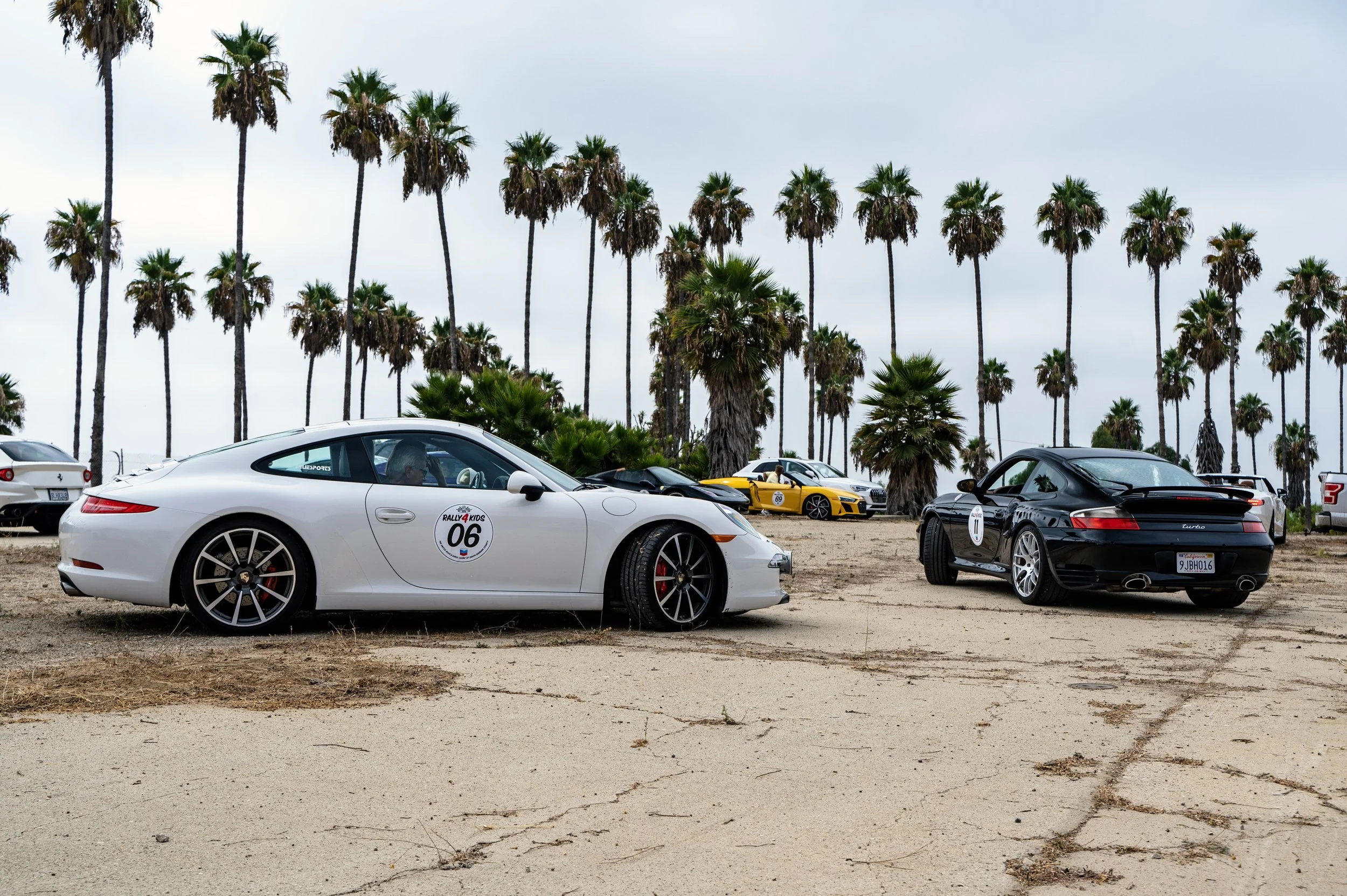 Several Porsche sports cars parked on a sandy outdoor lot with tall palm trees in the background, celebrating a car rally event.