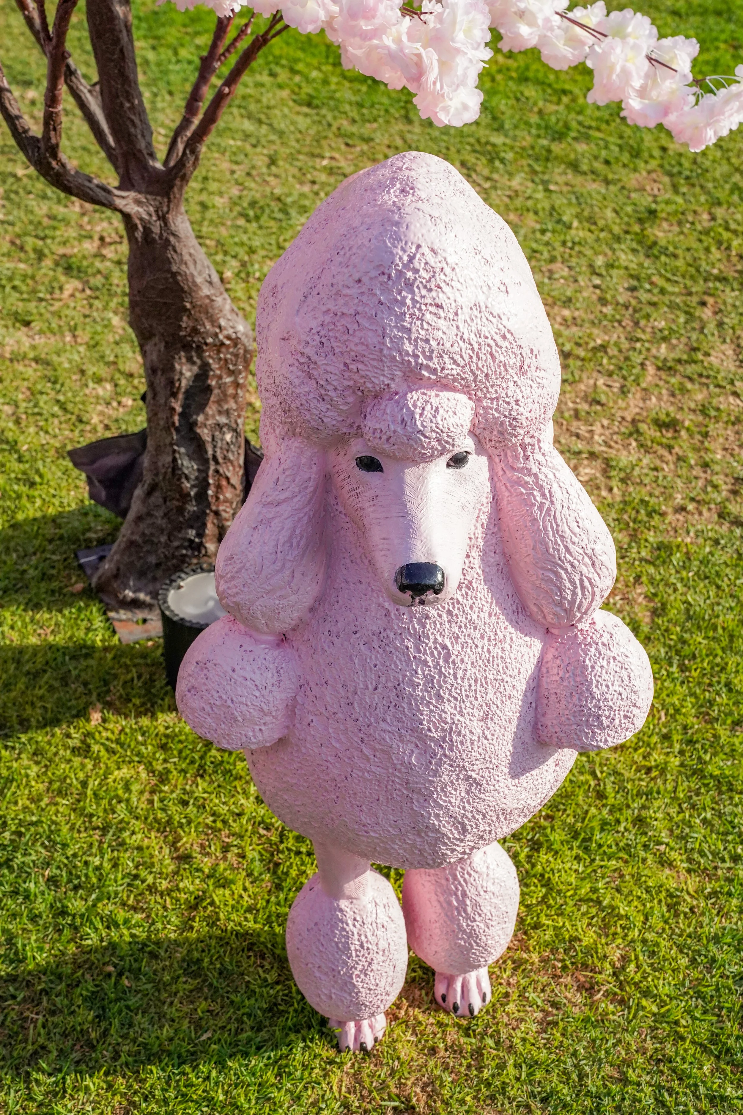 Pink poodle-shaped garden sculpture standing on green grass with pink flowering tree and small tree in the background.