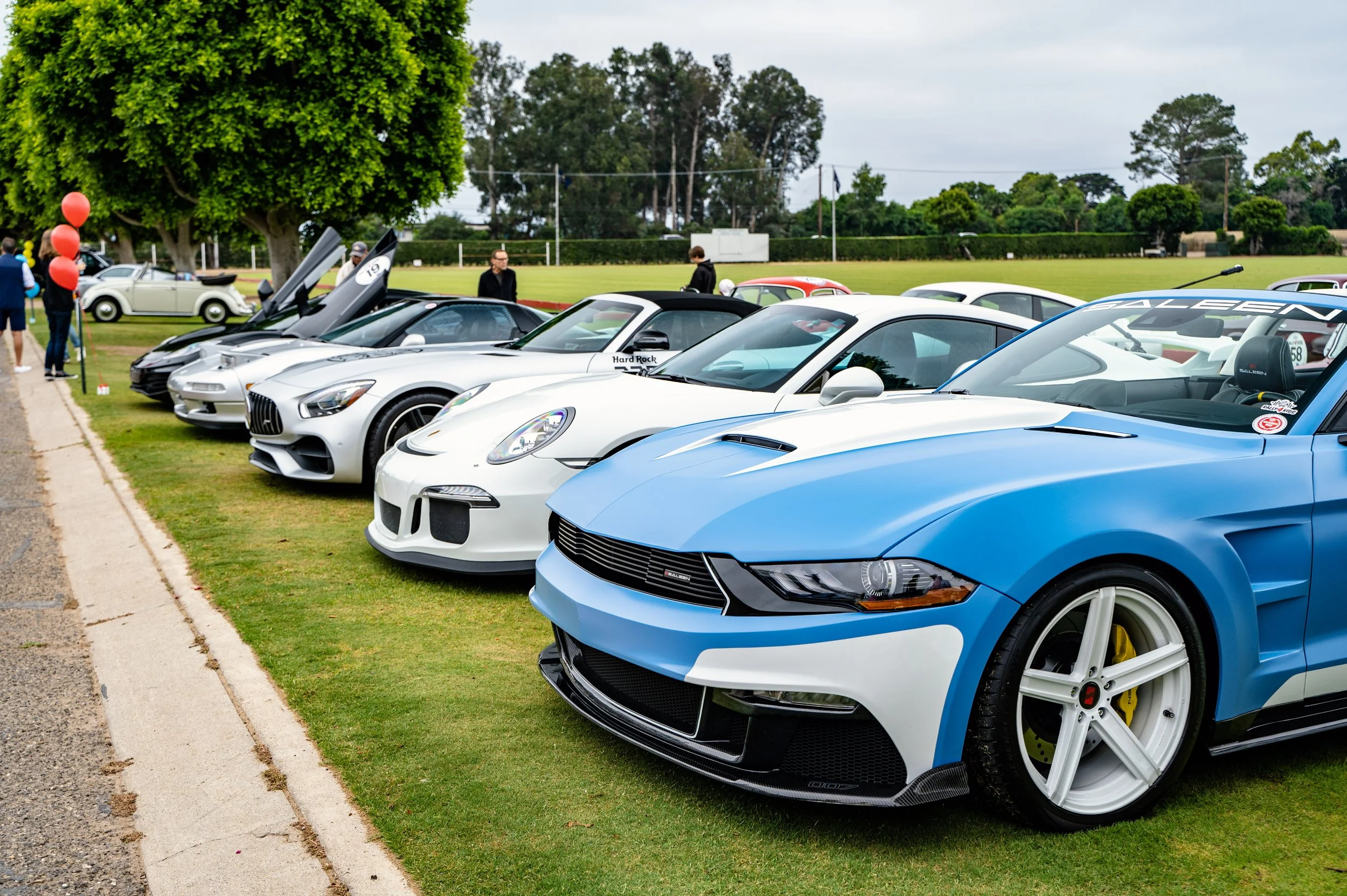 A lineup of luxury and sports cars displayed on a grassy area at an outdoor car show, with a tree and people in the background.